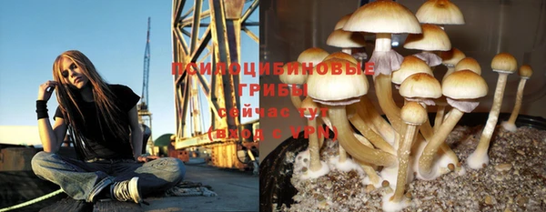 mdpv Алзамай