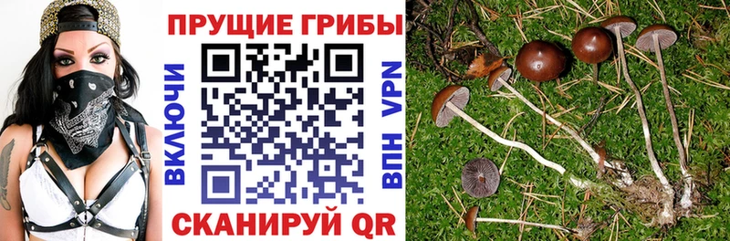 Галлюциногенные грибы GOLDEN TEACHER  Йошкар-Ола 